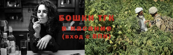 ГАЛЛЮЦИНОГЕННЫЕ ГРИБЫ Коряжма