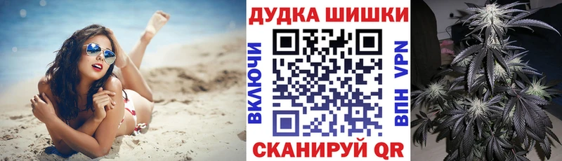 Купить  Ветлуга  Бошки Шишки планчик 